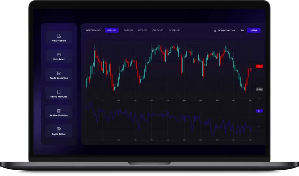 custom software for investment management company