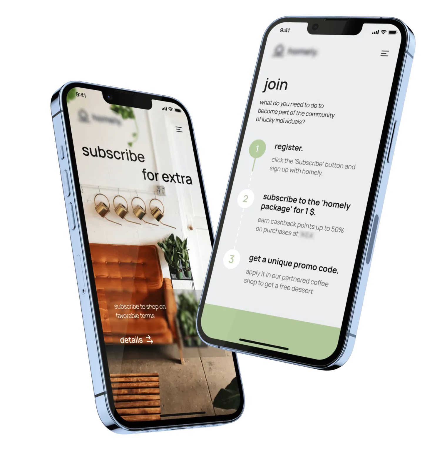 landing page for promotional campaign
