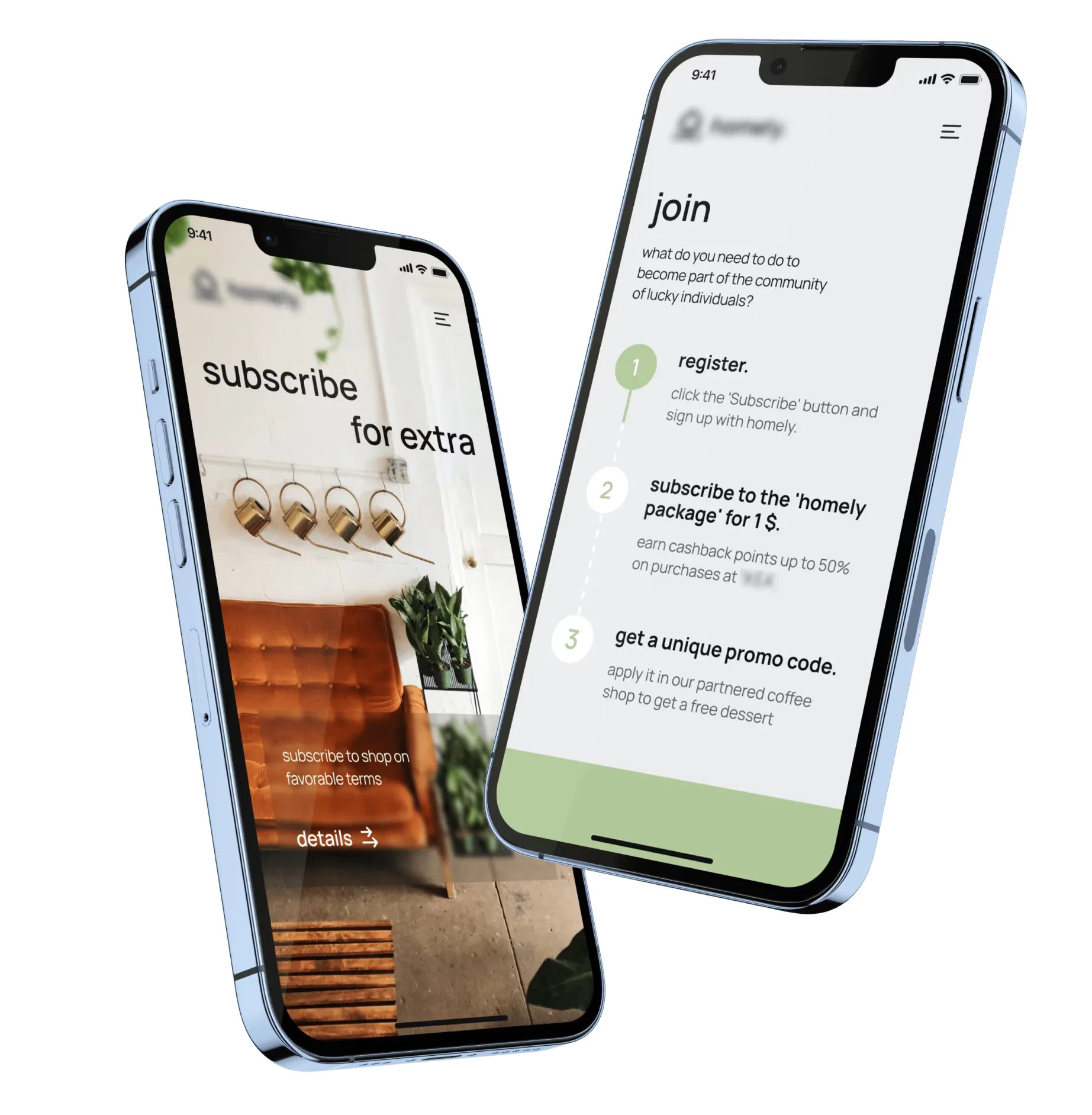 landing page for promotional campaign