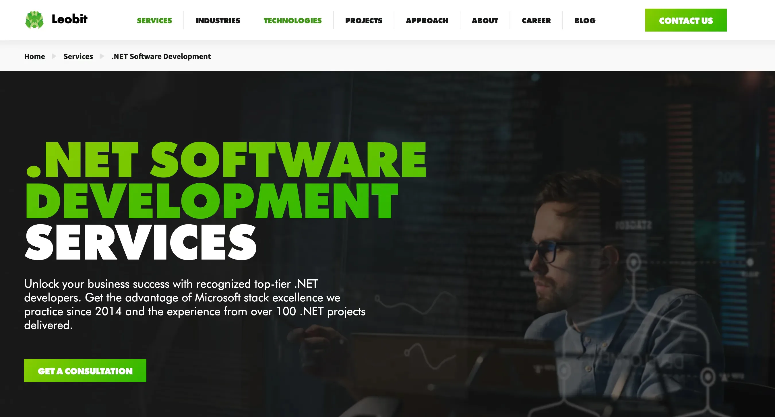 Leobit .NET software development services
