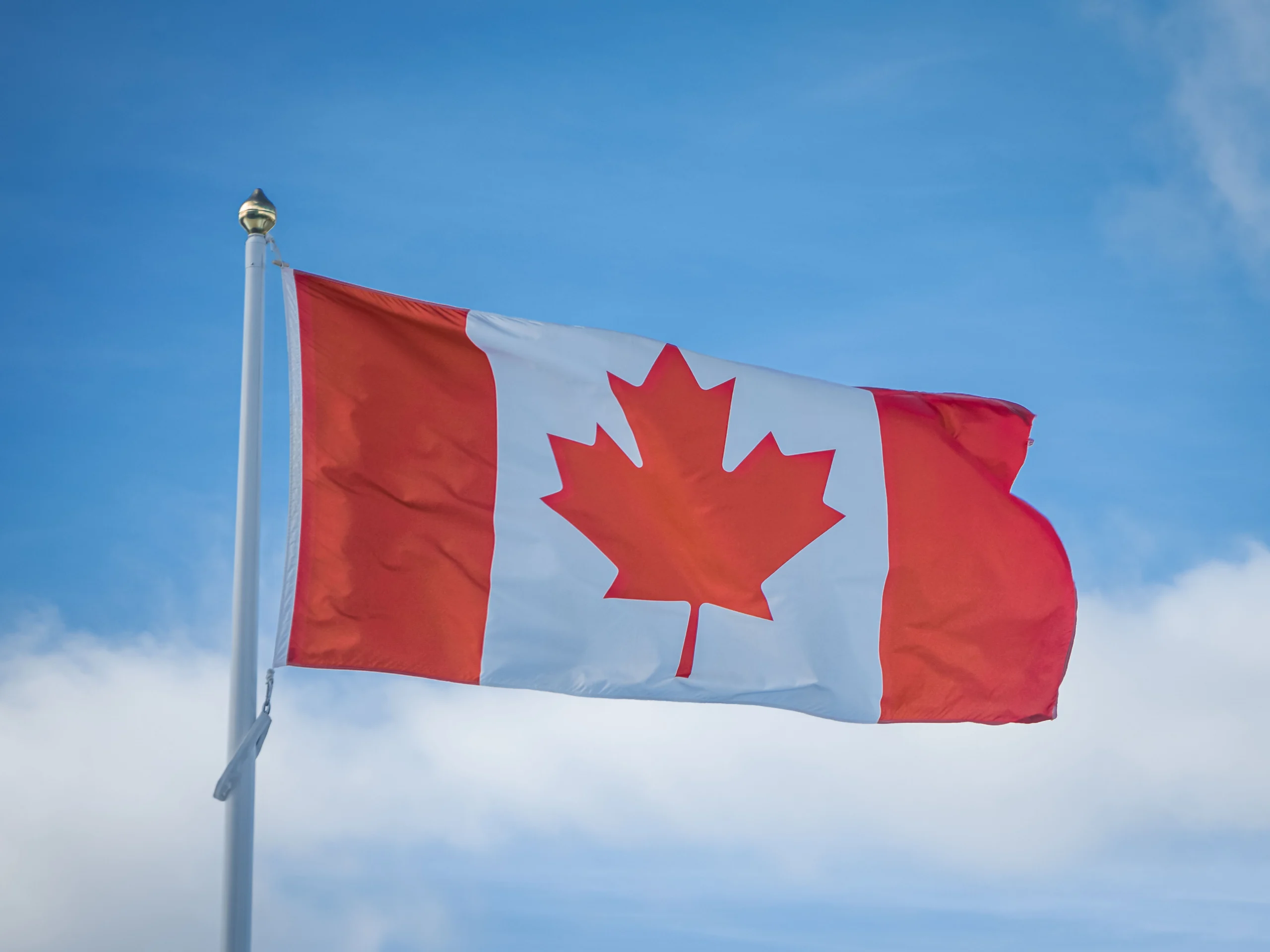 15 Best Financial Software Development Companies in Canada (2026)