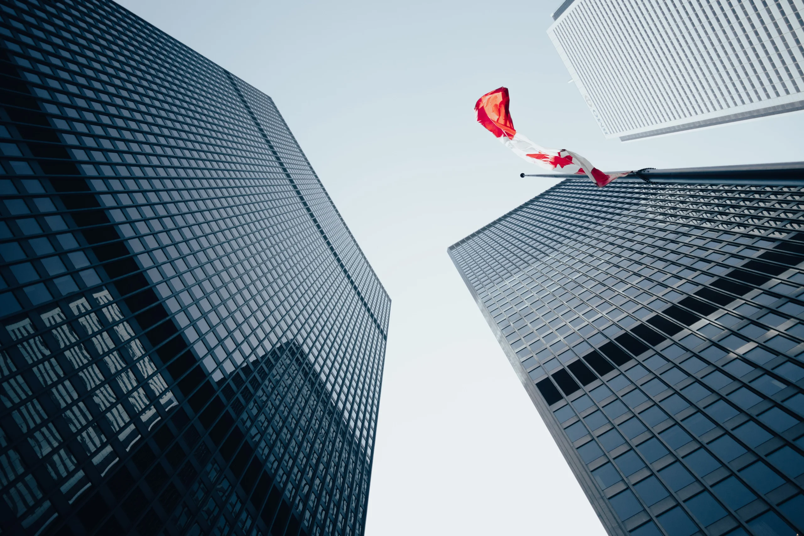 Top 13 .NET Development Services Companies in Canada (2026)