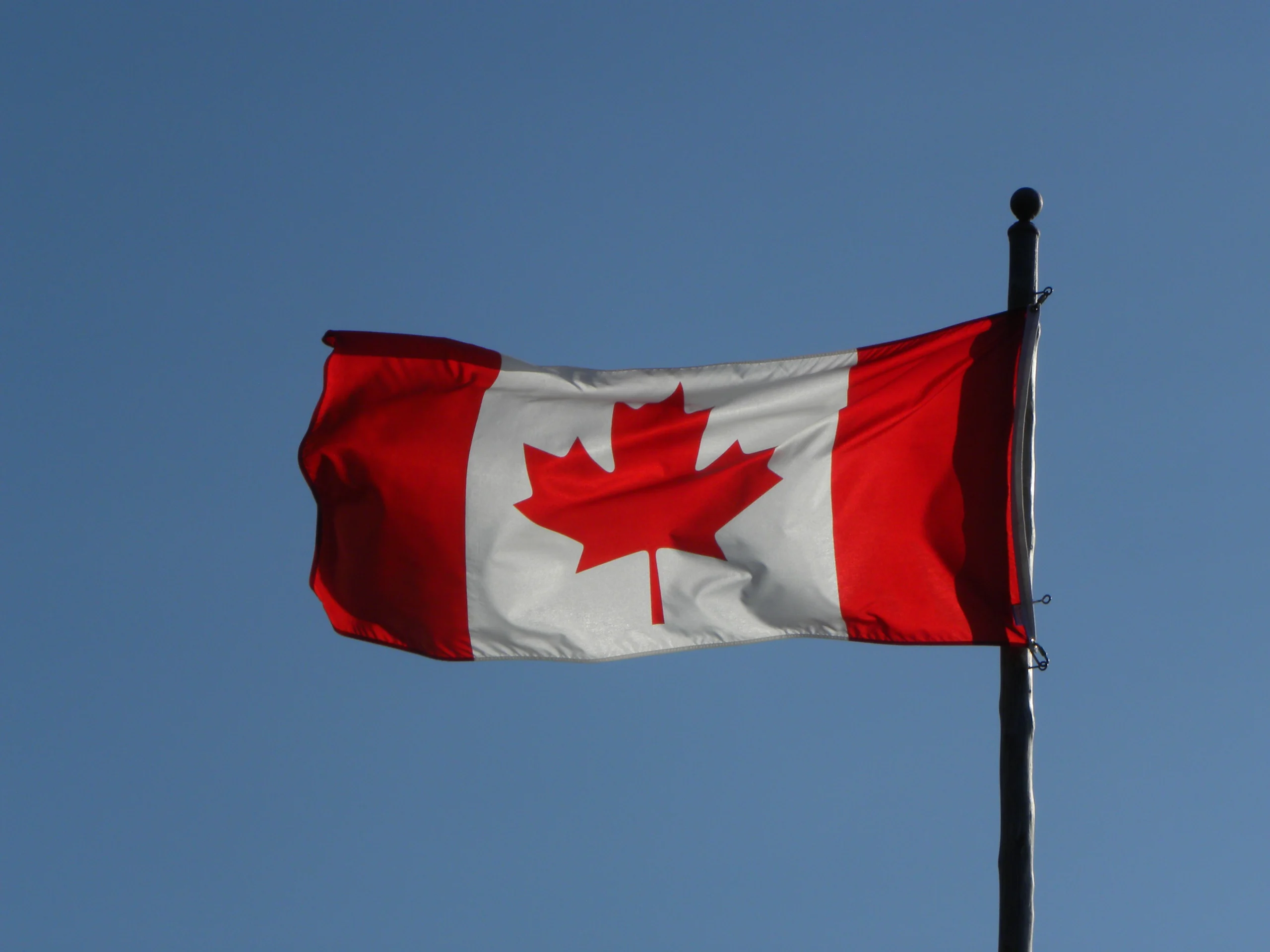 13 Best AI App Development Companies in Canada (2026)