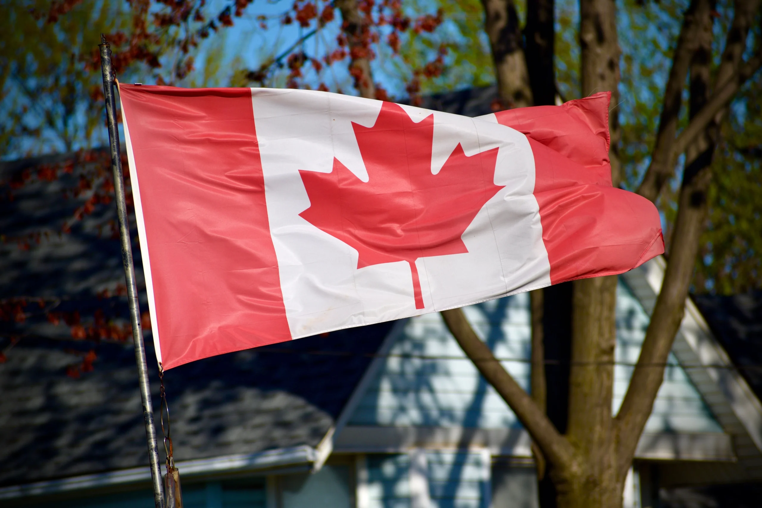 16 Best Consulting Staff Augmentation Companies in Canada (2026)