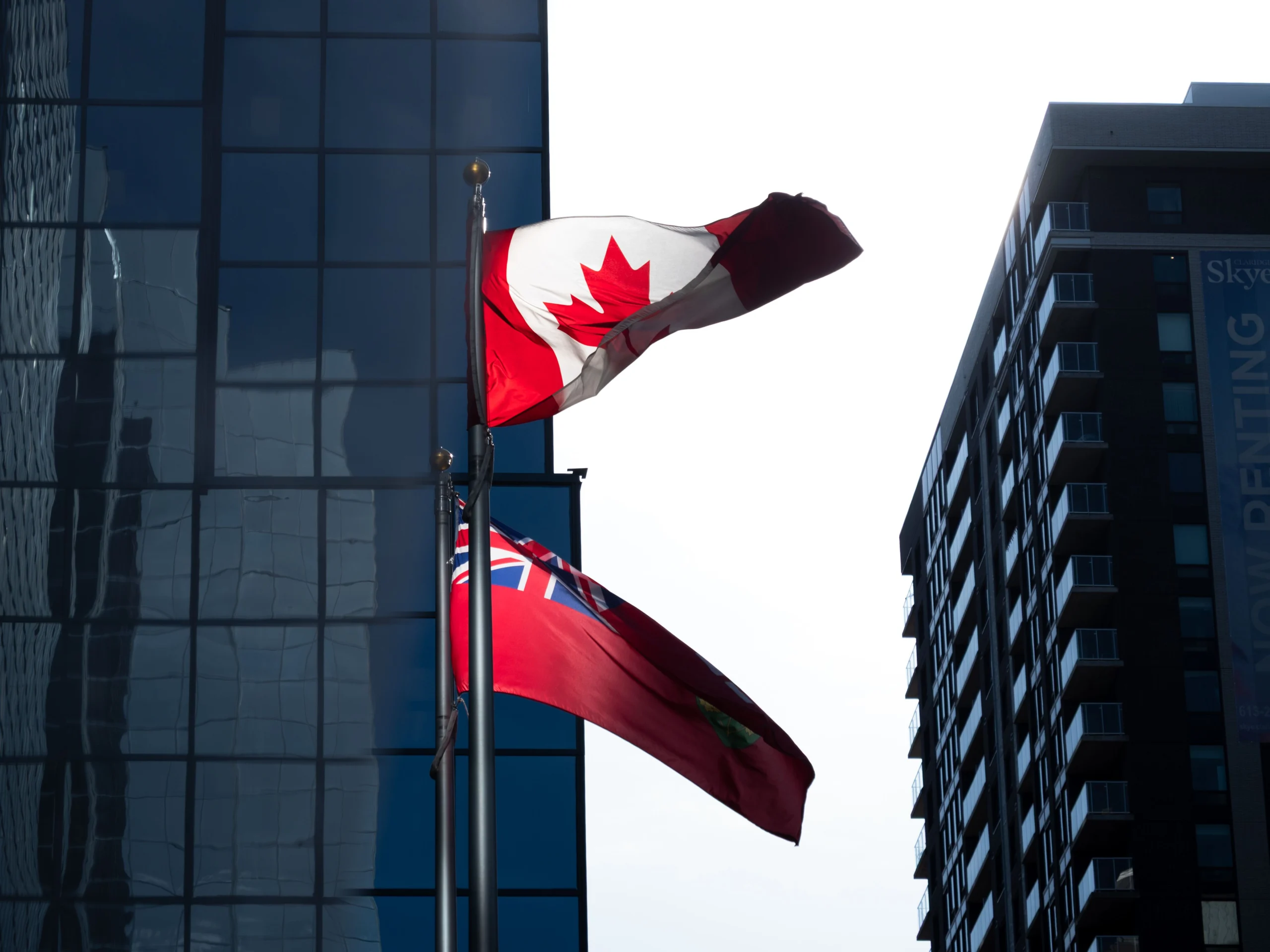 15 Best Staff Augmentation Consulting Companies in Canada (2026)