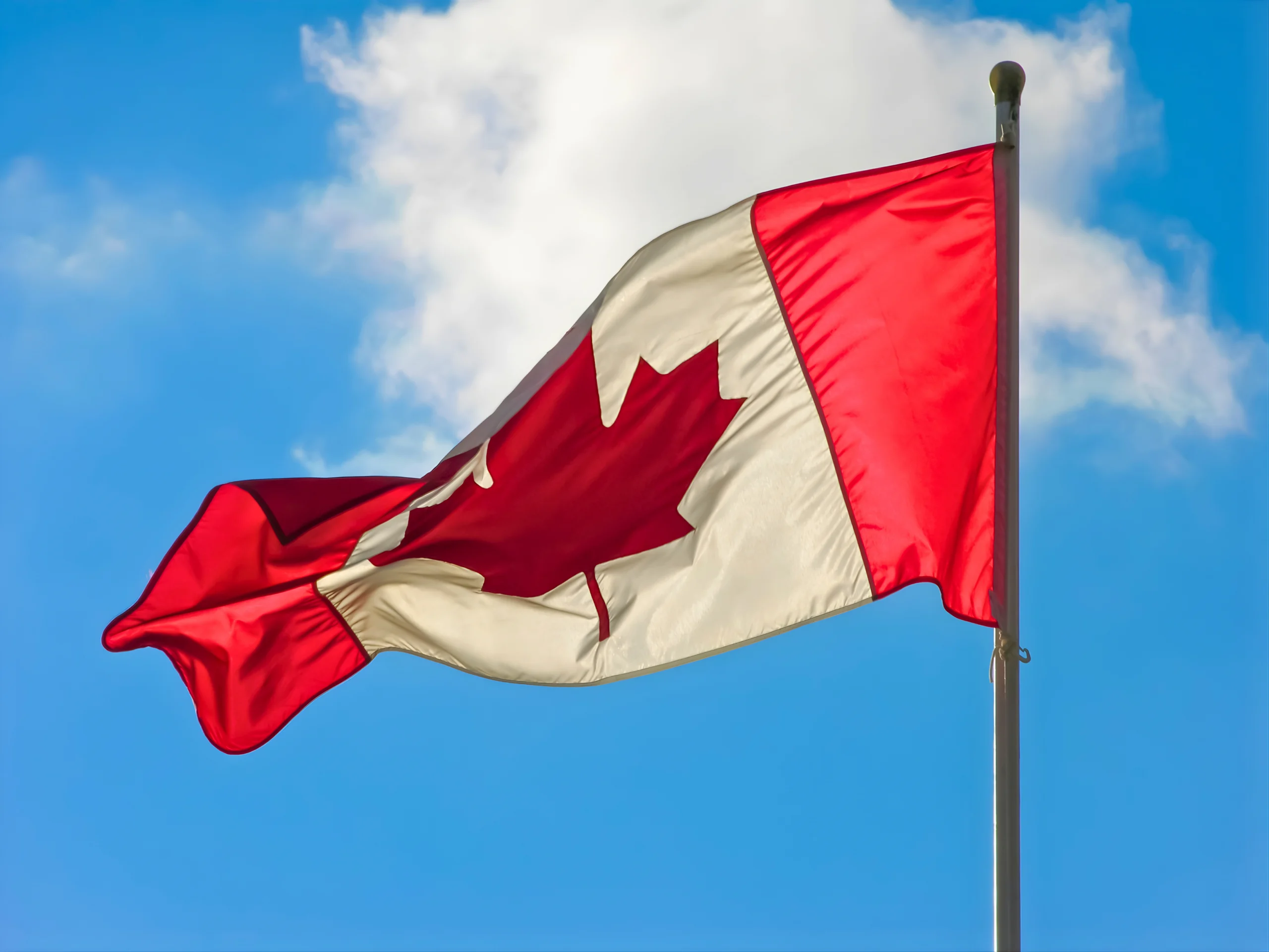 17 Best Software Development Companies for Android in Canada (2026)