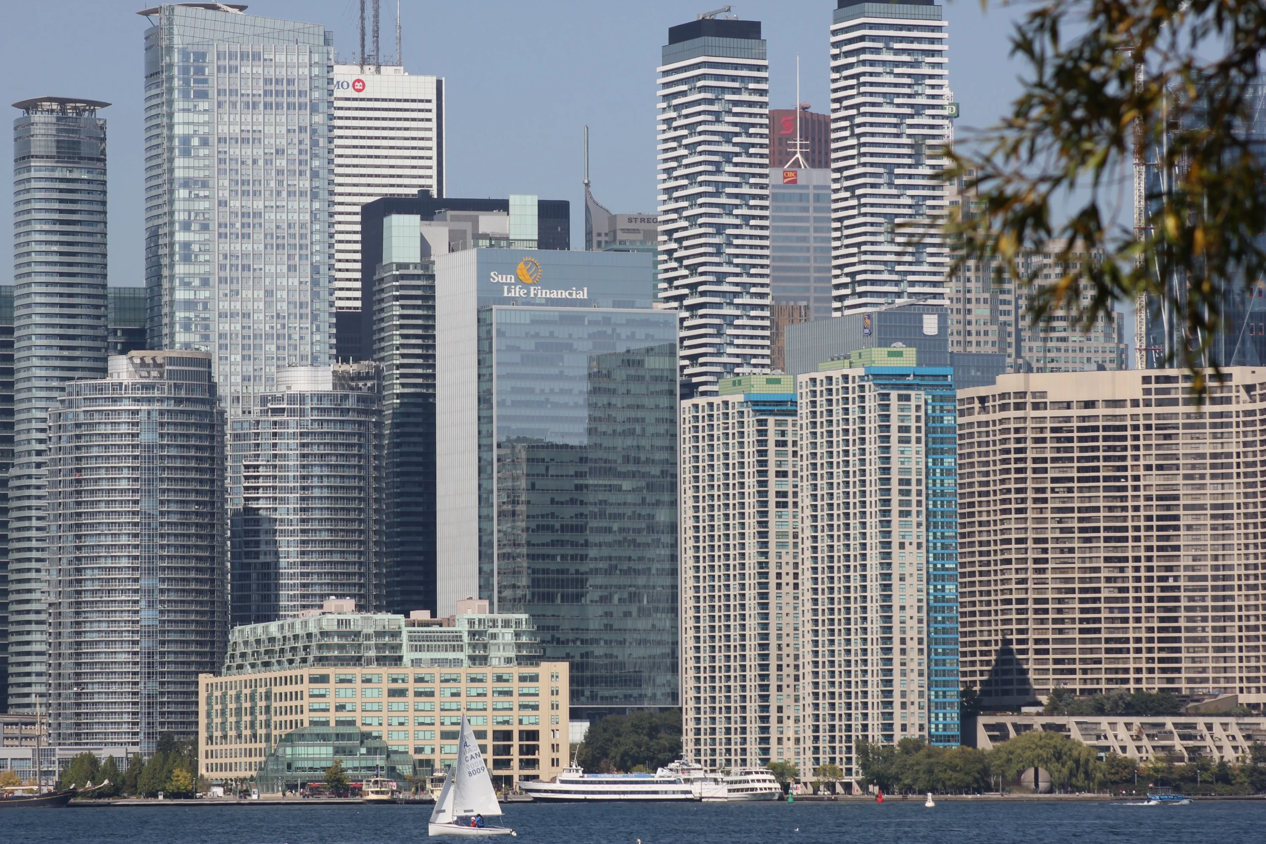 14 Best Medical Software Development Companies for Startups in Canada (2026)