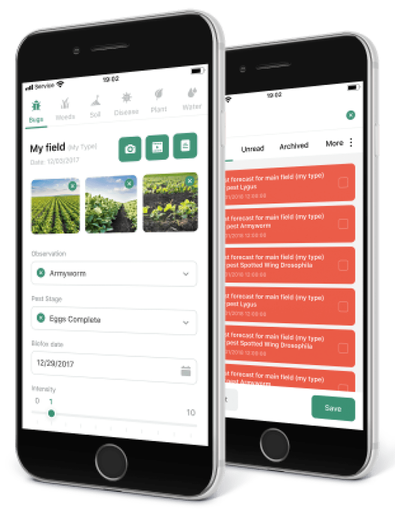 Website Development Agency Itexus