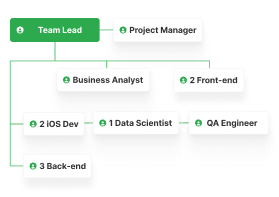 mobile team