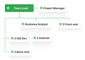 team mobile app mob