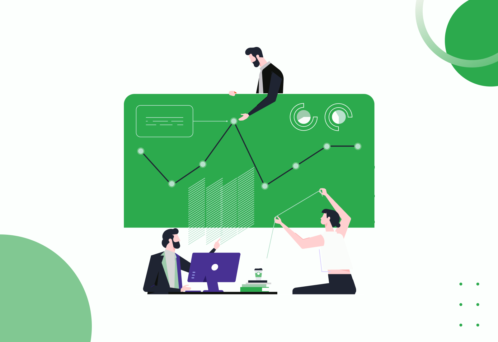  MFI Software Development