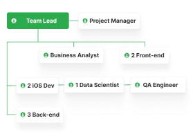 mobile team