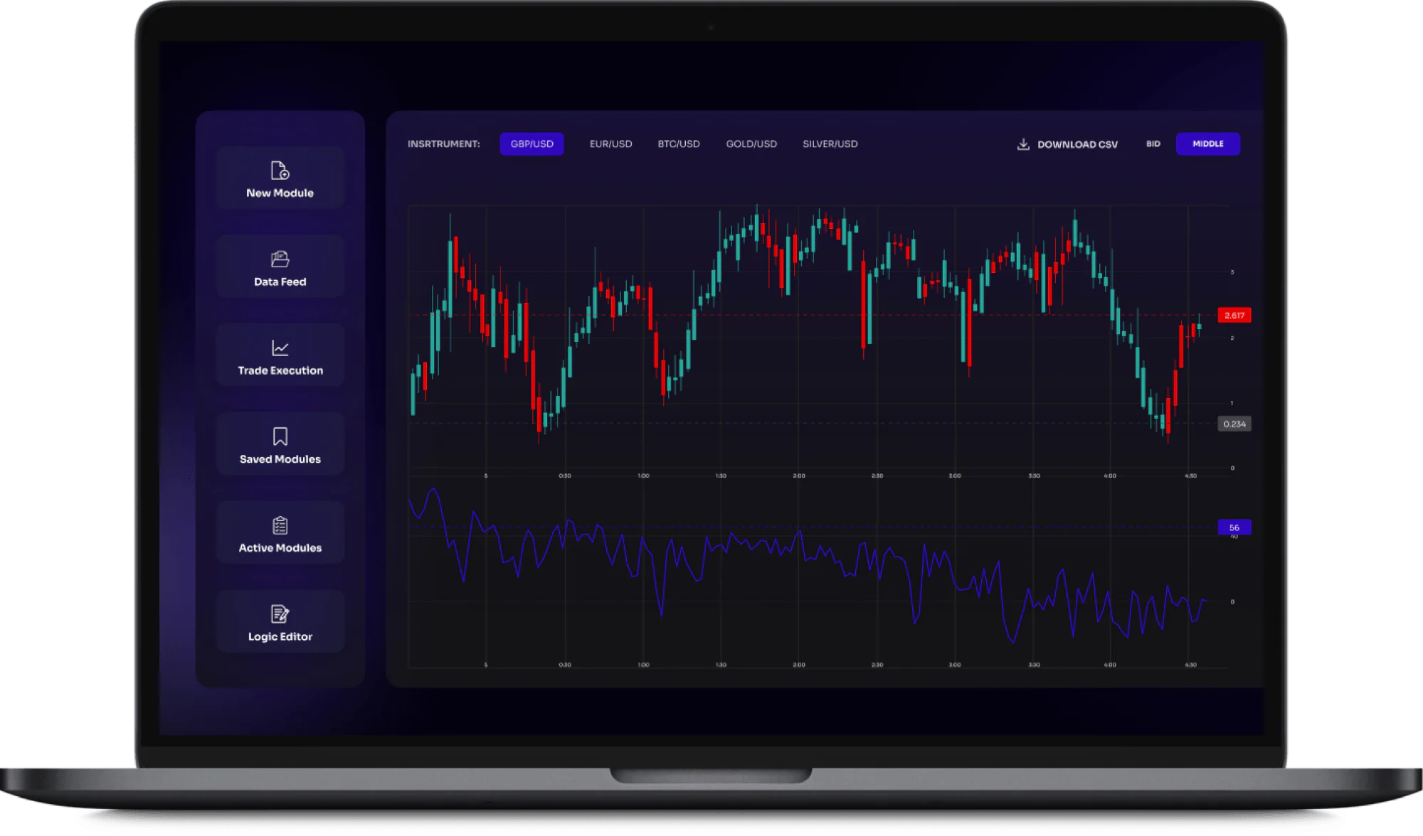 custom software for investment management company