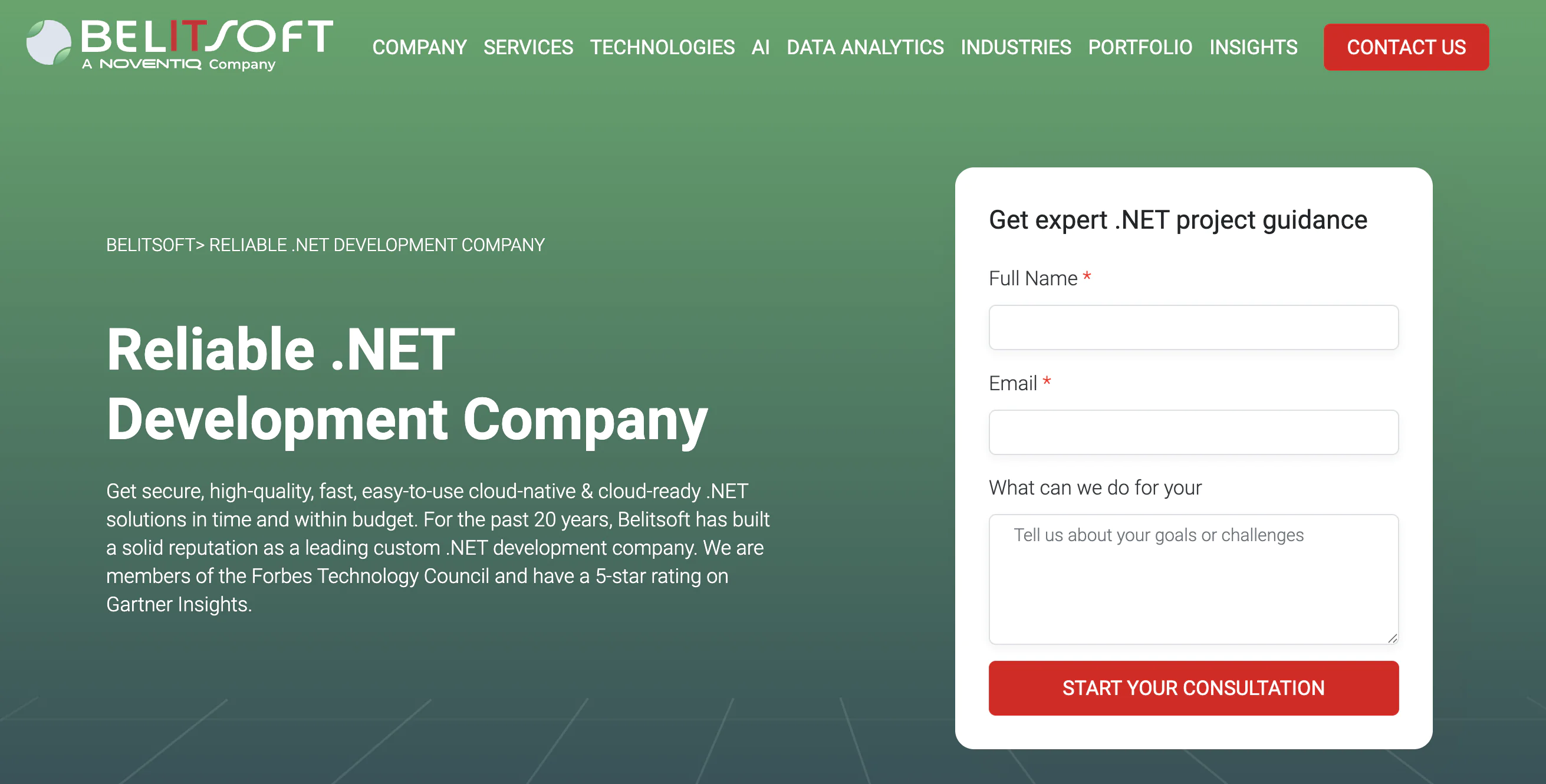 TOP .NET Development Company